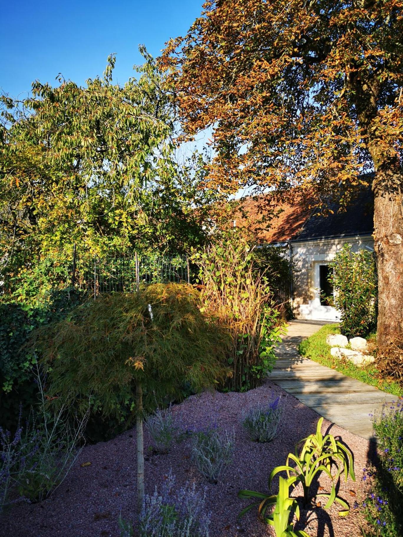 La Jacquiere Bed and Breakfast Chaumont-sur-Loire Εξωτερικό φωτογραφία